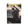 Kép 1/2 - Dragon Shield (Catwoman)